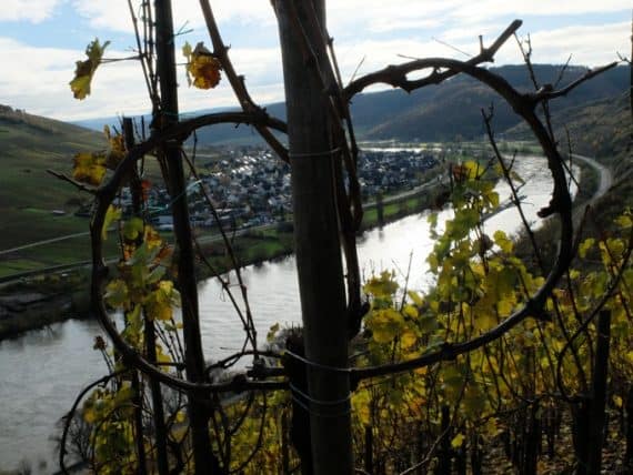 Bekanntschaften bernkastel