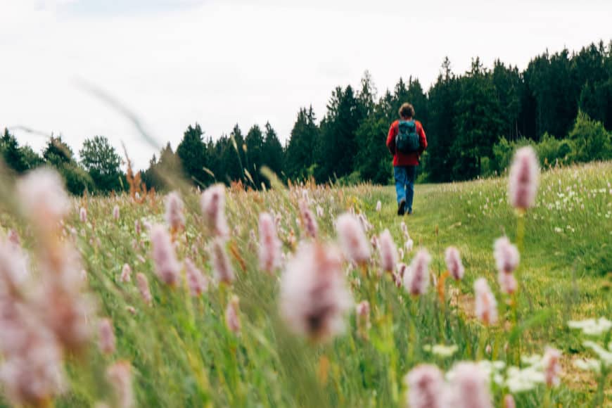Die schönsten Wanderwege am Oberharzer Wasserregal
