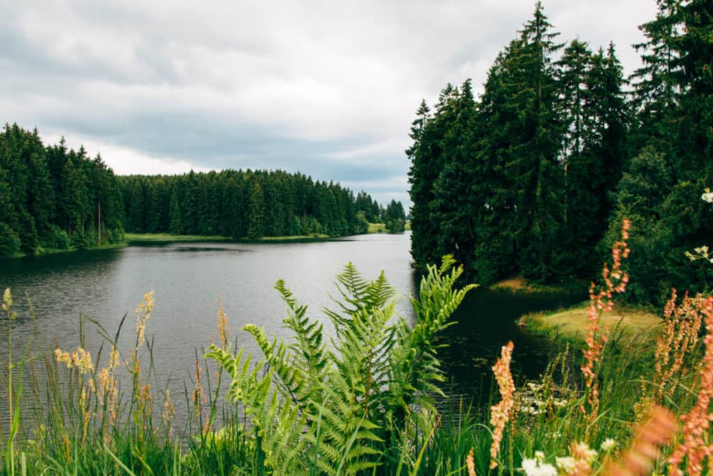 32+ Buntenbocker Teiche Wandern, Die themen dieser wanderung sind die