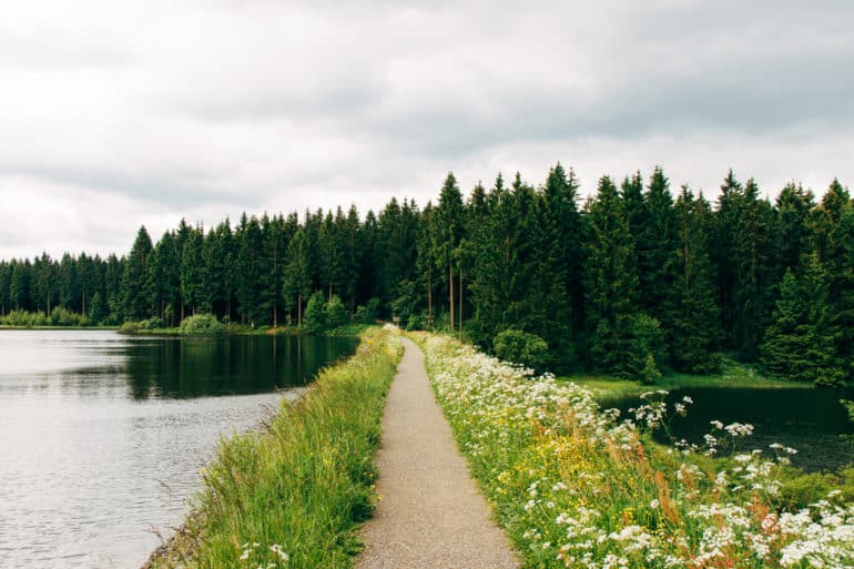 Die schönsten Wanderwege am Oberharzer Wasserregal