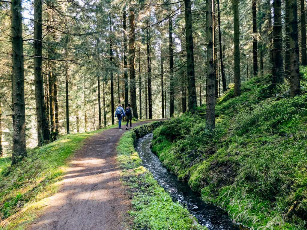 Die schönsten Wanderwege am Oberharzer Wasserregal