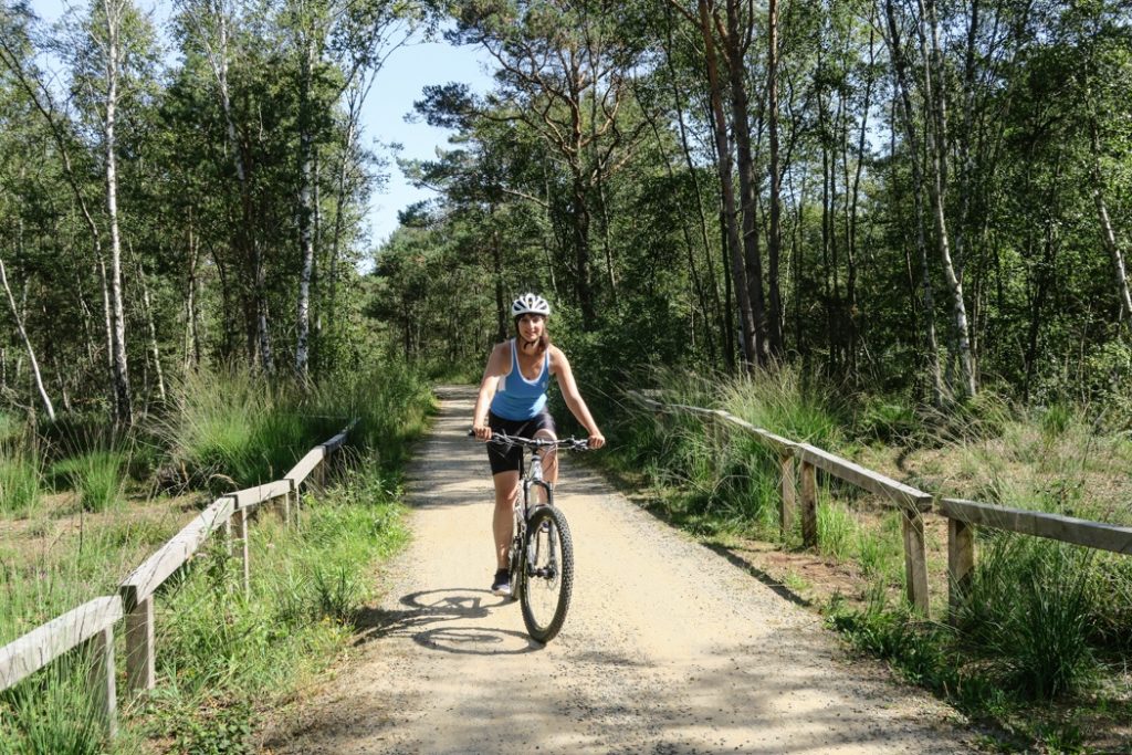 einmal rund um den schaalsee mit dem fahrrad