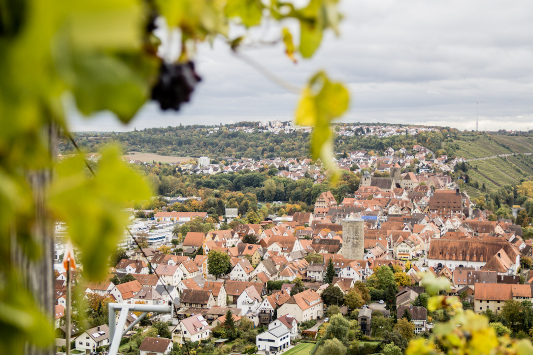 Ein kulinarischer Roadtrip durch Baden-Württemberg: #3 Die Hessigheimer Felsengärten - Wein trifft Aussicht