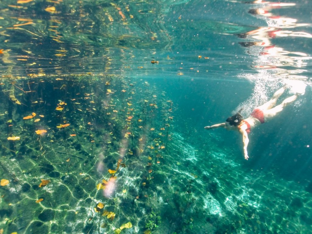 Die schönsten Cenoten in Yucatan – Mexikos versteckte Oasen – Sonne