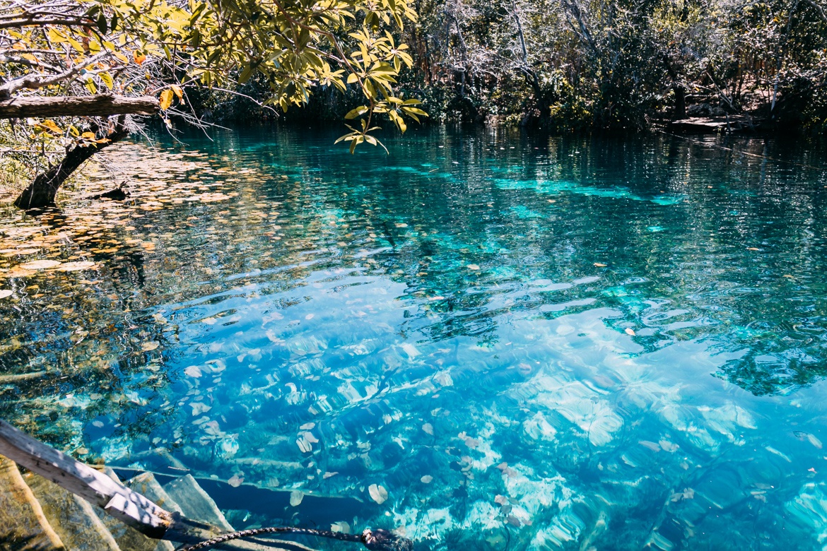 Die schönsten Cenoten in Yucatan - Mexikos versteckte Oasen: Cenote Carwash