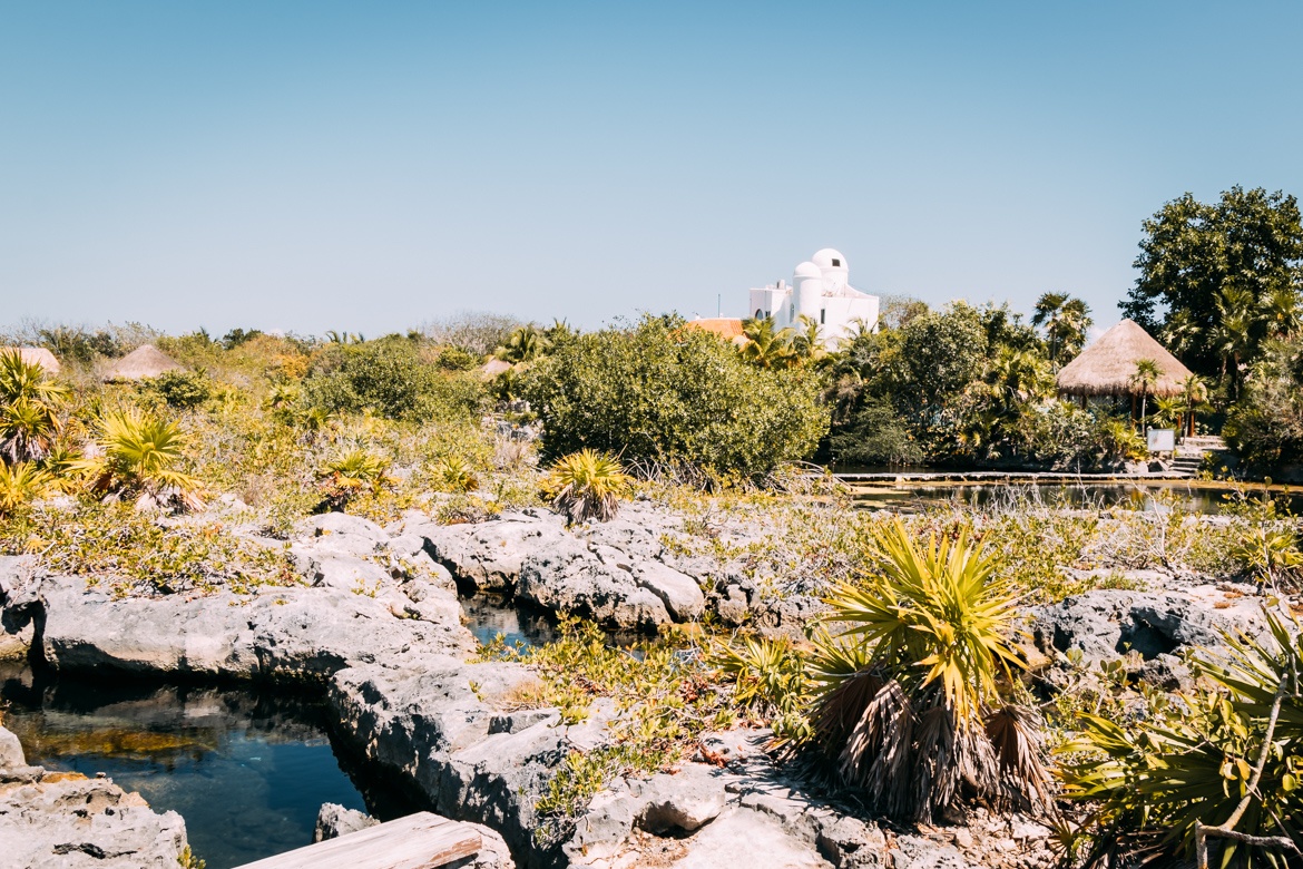 Die schönsten Cenoten in Yucatan - Mexikos versteckte Oasen: Cenote Yal'ku