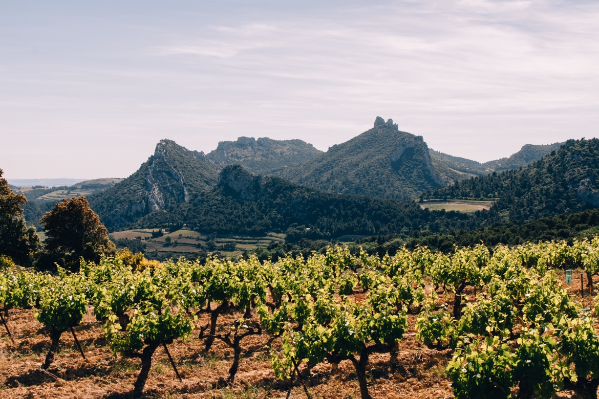 Vaucluse in der Provence - das malerische Hochplateau