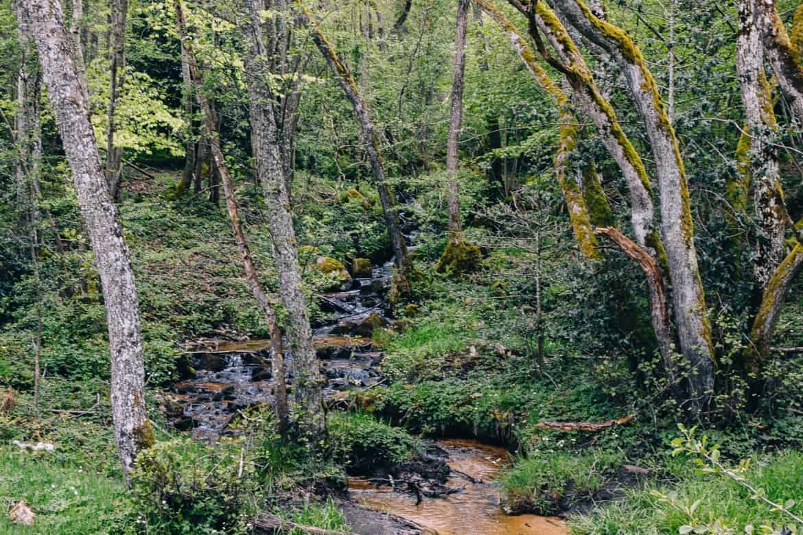Auvergne / Loire: Wanderung über die Monts de la Madeleine, wunderschöne Wälder