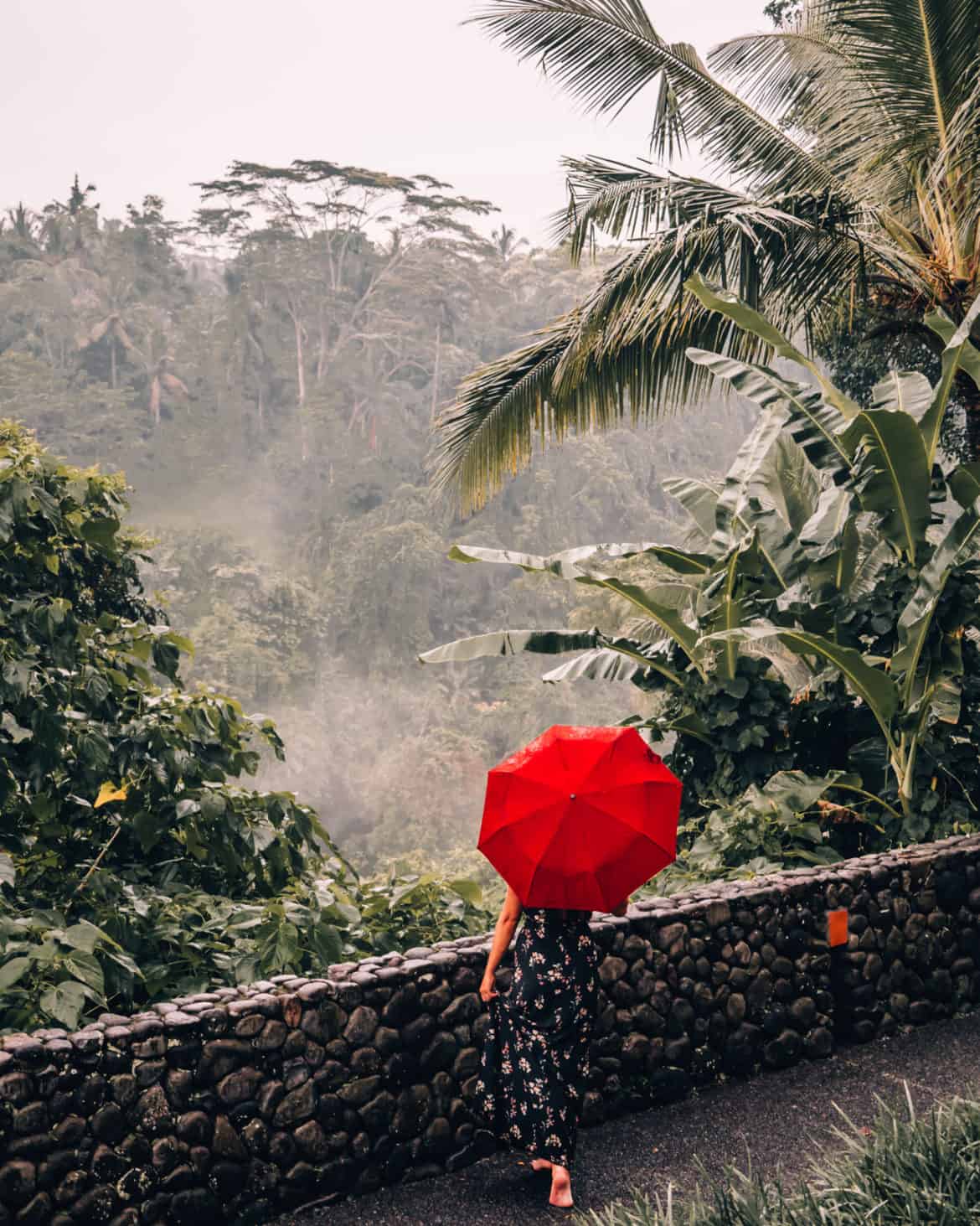 Alilia Ubud     Dschungel Wellnessoase mit Infinity Pool Outdoorbad