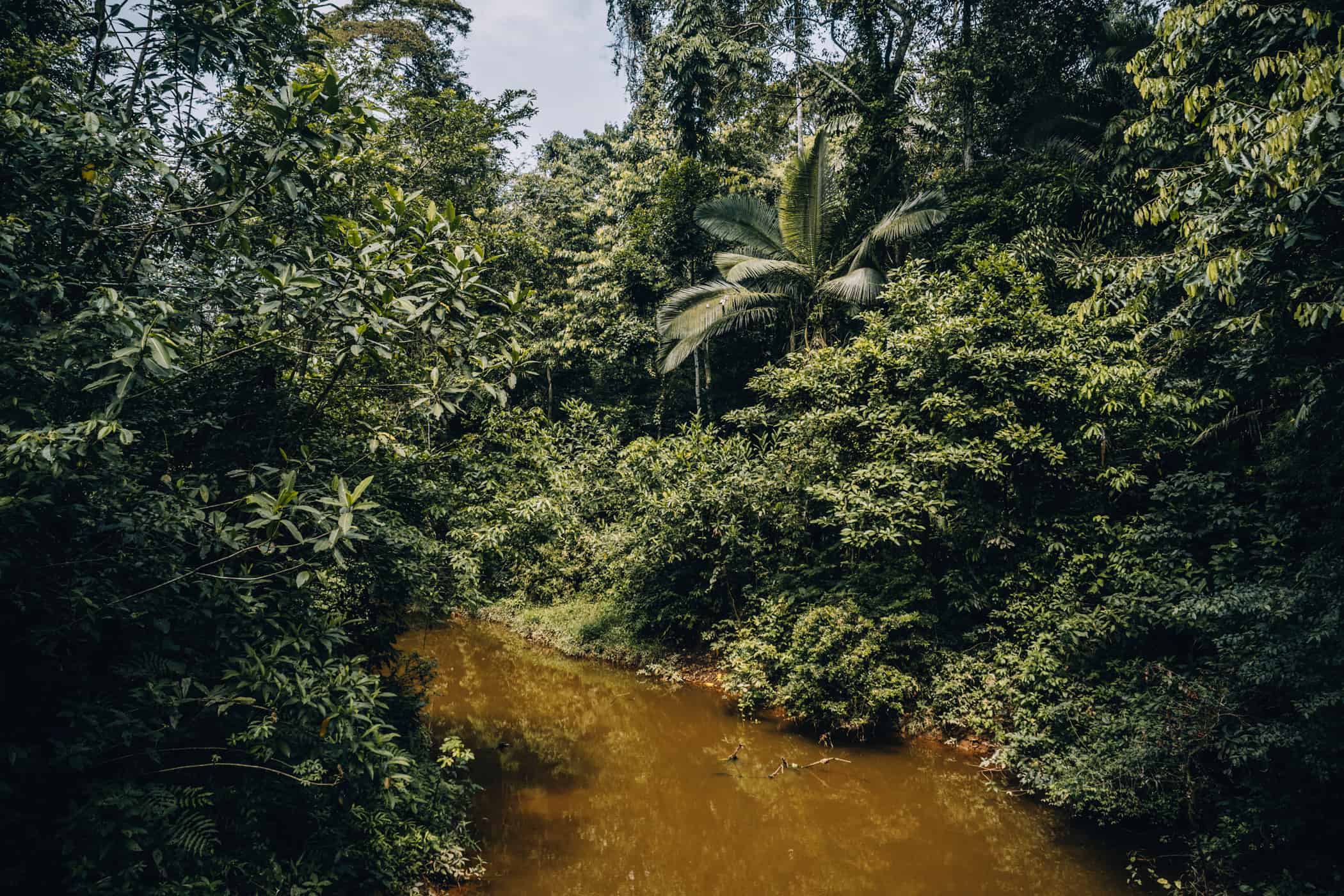 Amazonas Tour in Peru - Dschungelabenteuer in Puerto Maldonado: Über den Fluss