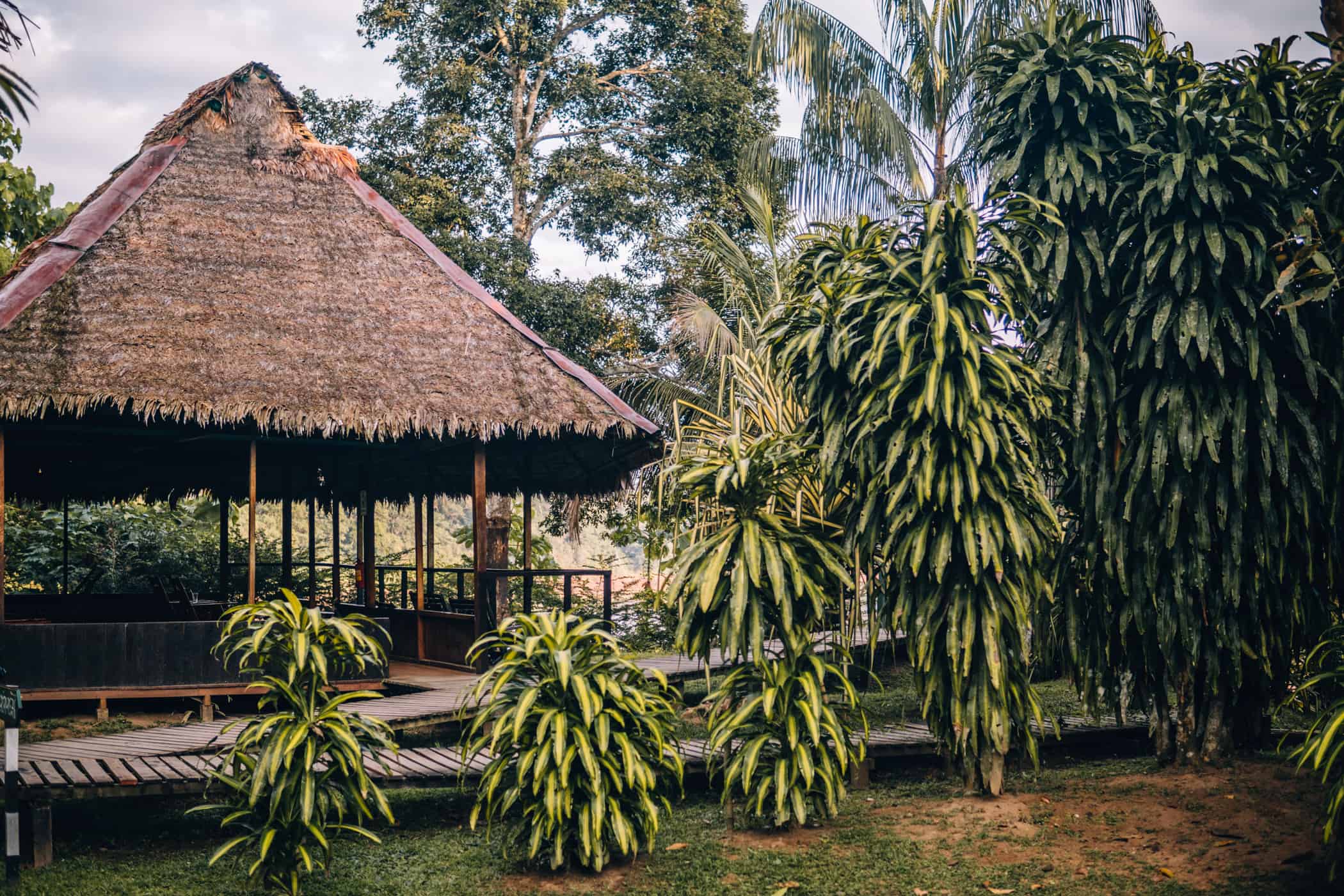 Amazonas Tour in Peru - Dschungelabenteuer in Puerto Maldonado: Cayman Lodge Hütte