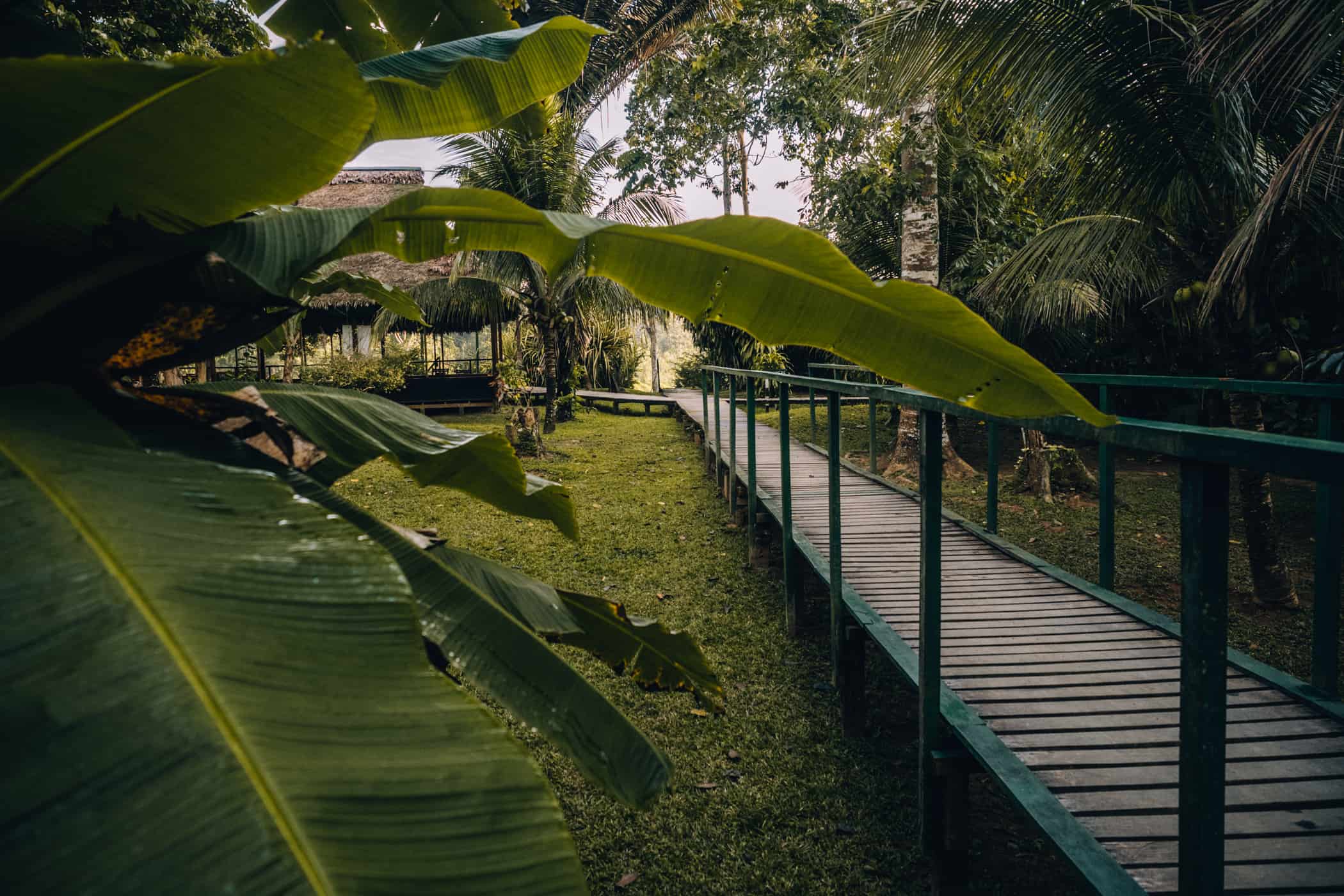 Amazonas Tour in Peru - Dschungelabenteuer in Puerto Maldonado: Zurück in der Cayman Lodge