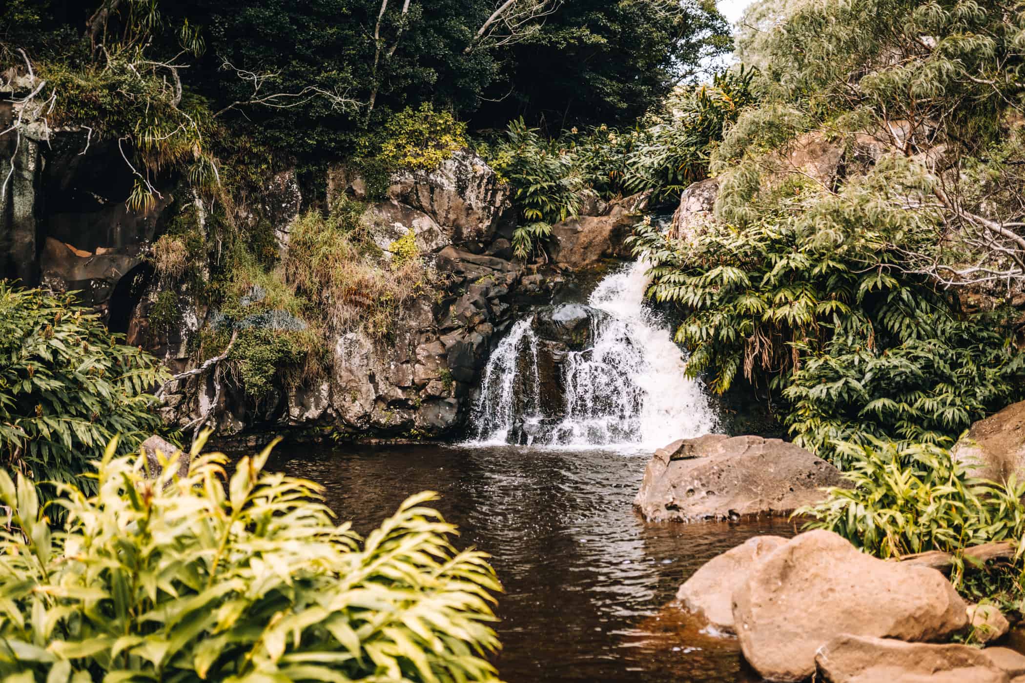 Kauai - Strände, Wandern & Ausflugsziele: Waimea Canyon Trail / Waipo Falls Trail