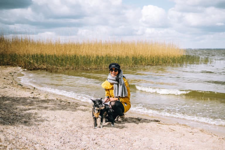 Ausflugsziele Usedom Mit Hund