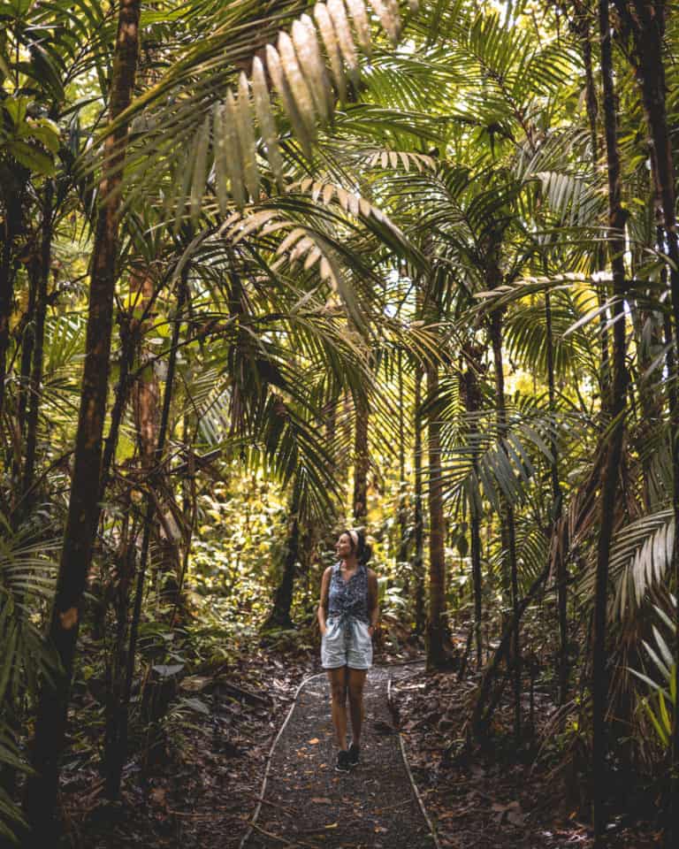  Costa Rica Rundreise - Reiseroute für 2 Wochen + meine Tipps 