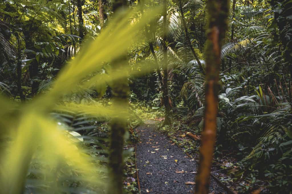 Costa Rica Rundreise Reiseroute für 2 Wochen + meine Tipps & Highlights Sonne & Wolken