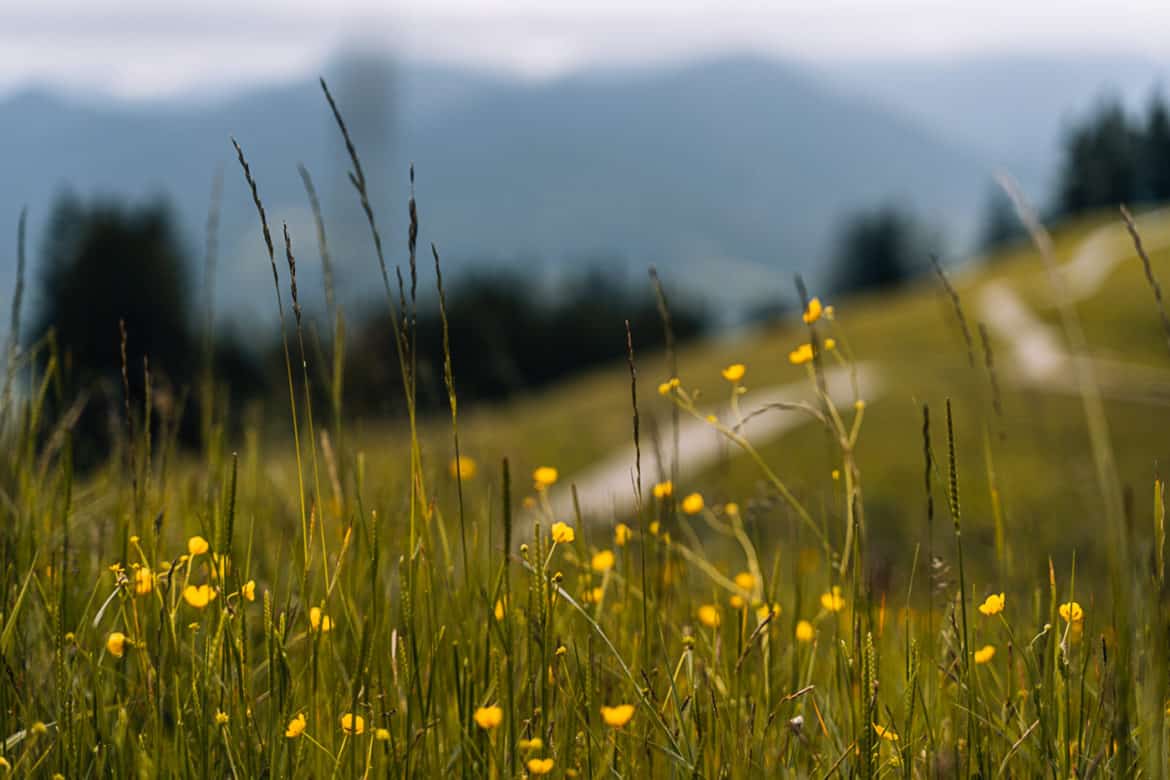 Bad Tölz & das Tölzer Land Natur genießen in den bayerischen Voralpen