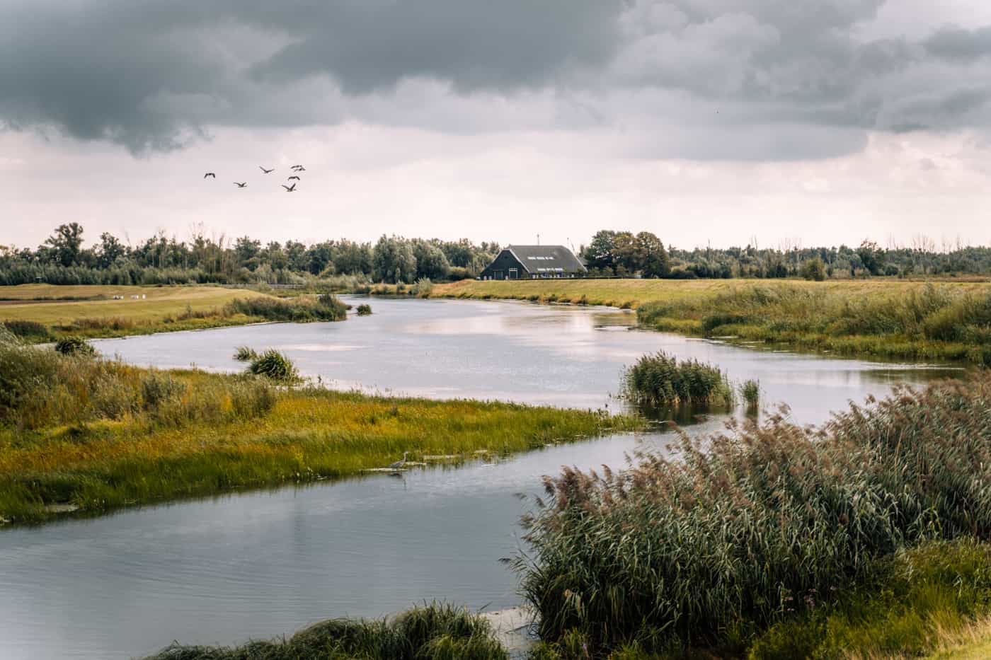 De Biesbosch Nationalpark - Camping in Europas größtem Süßwassergezeitengebiet