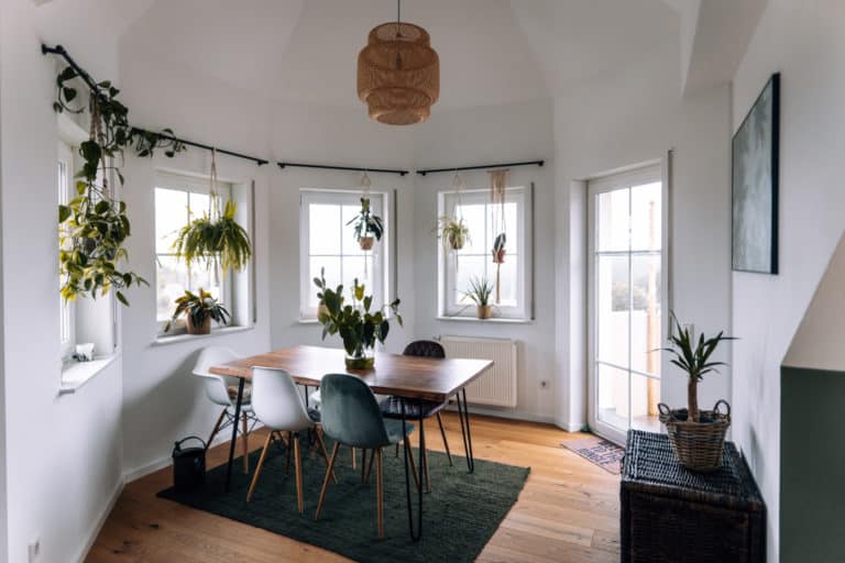 Neue Wohnung - Umzug, Renovierung und Einrichtung