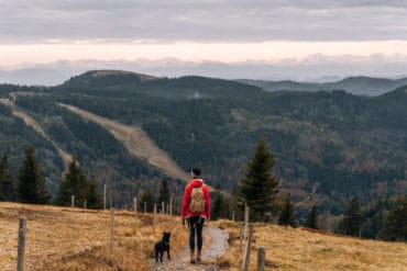 Wandern im Südschwarzwald - die schönsten Touren: Feldbergsteig