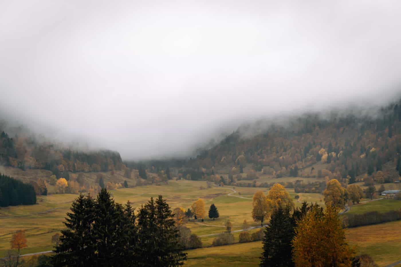 Wandern im Südschwarzwald - die schönsten Touren: Menzenschwander Geißenpfad
