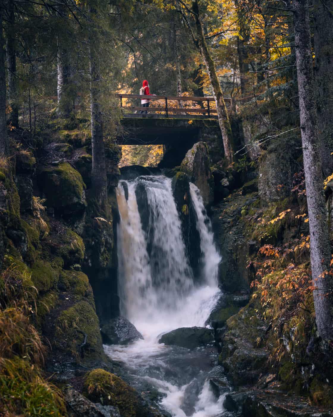 Wandern im Südschwarzwald - die schönsten Touren: Menzenschwander Geißenpfad