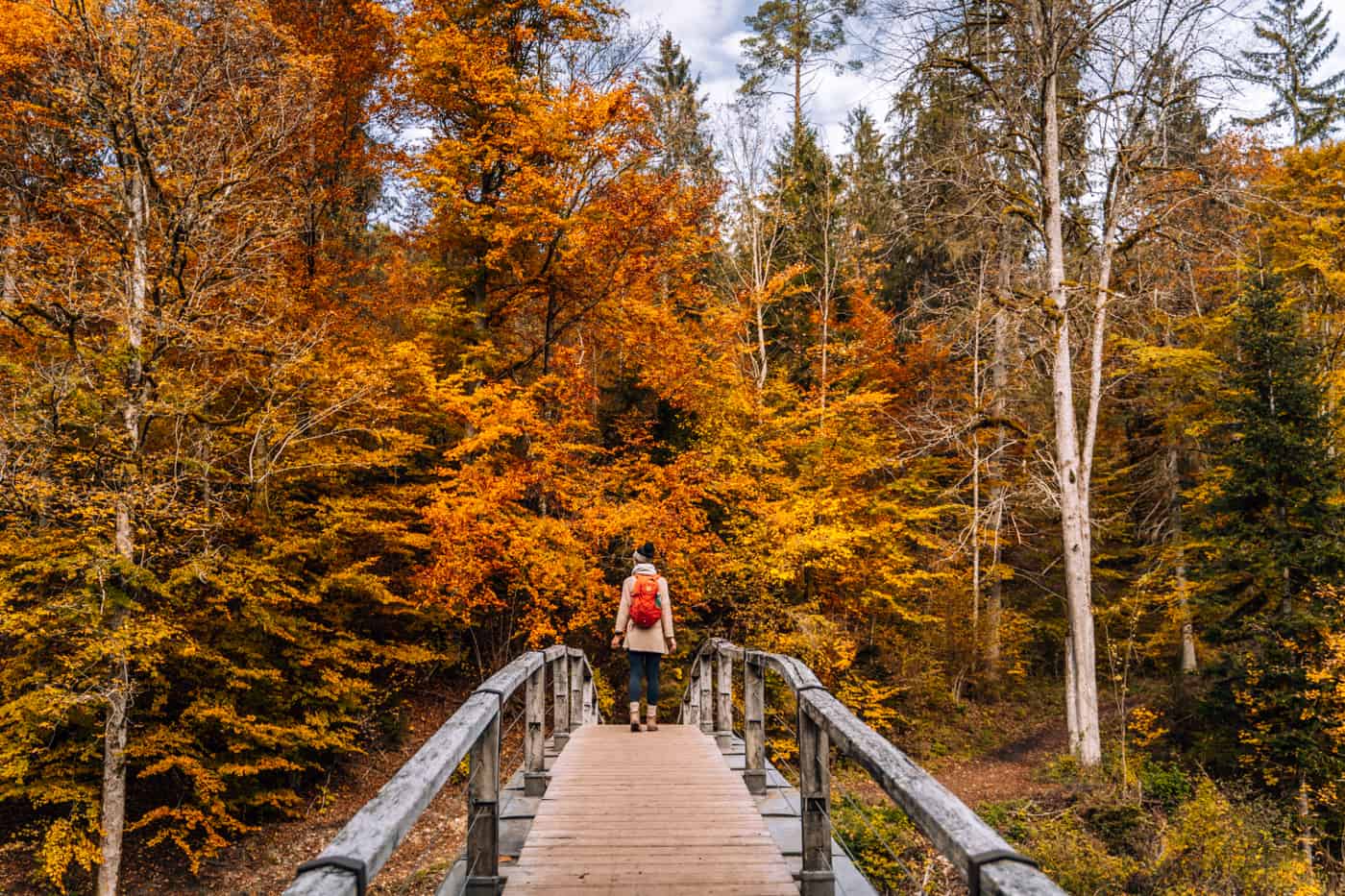 Wandern im Südschwarzwald - die schönsten Touren: Wutachschlucht