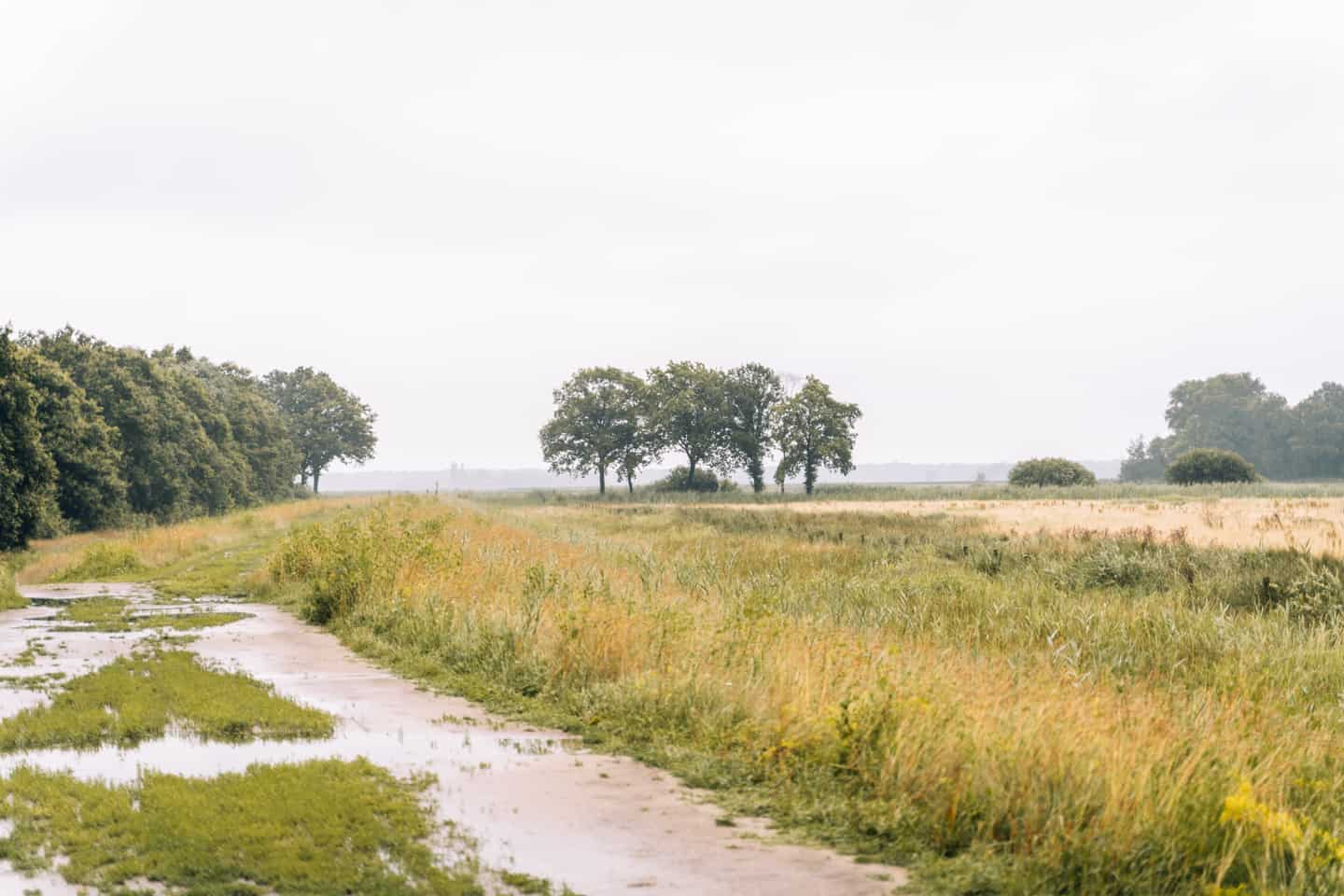 Rund um 's-Hertogenbosch - Camping im Herzen von Brabant: Moerputten