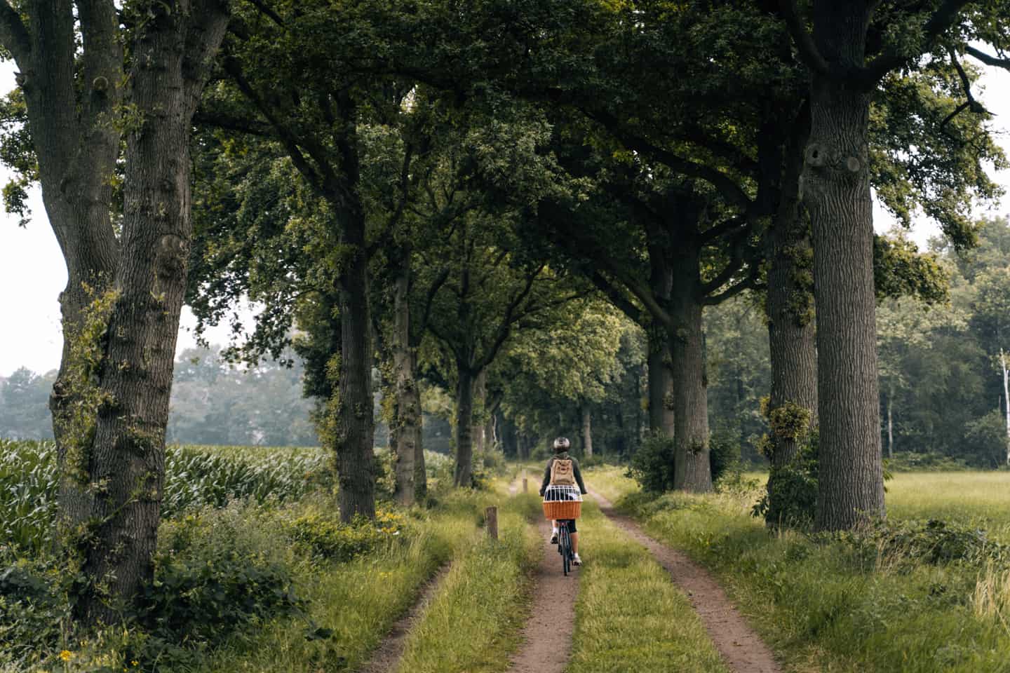 Rund um 's-Hertogenbosch - Camping im Herzen von Brabant: Radfahren in De Maashorst & 's-Hertogenbosch