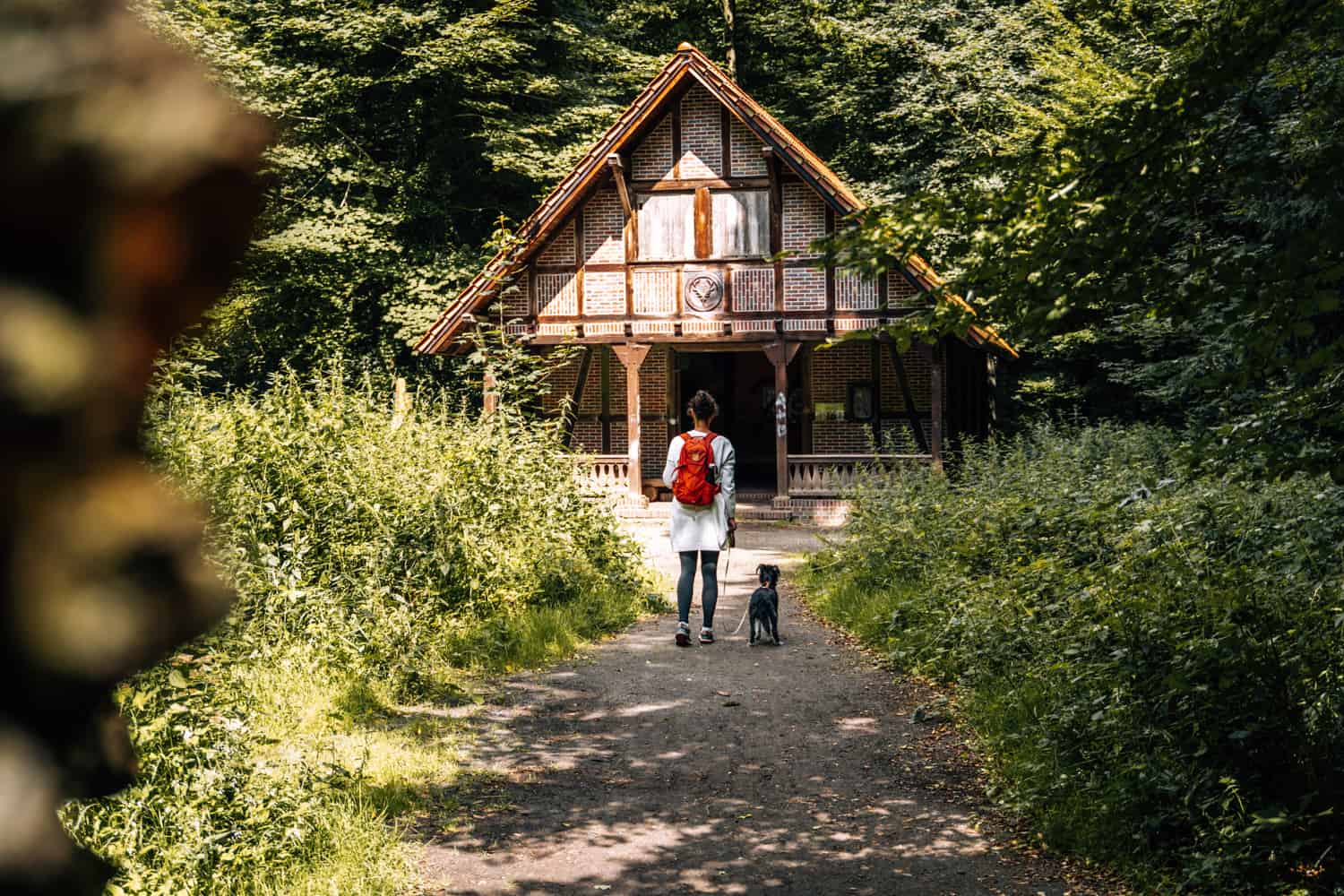 Urlaub mit Hund in Ostfriesland - Traum-Ferienwohnung, schönste Strände & Aktivitäten: Forsthaus Gödens