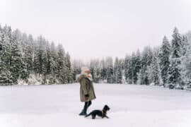 Winterwandern mit Baby in der Trage -  Meine Tipps & Erfahrungen