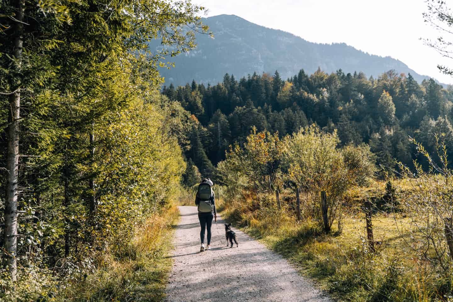 Wandern in Mittenwald - 10 familienfreundliche Genusstouren & Tipps