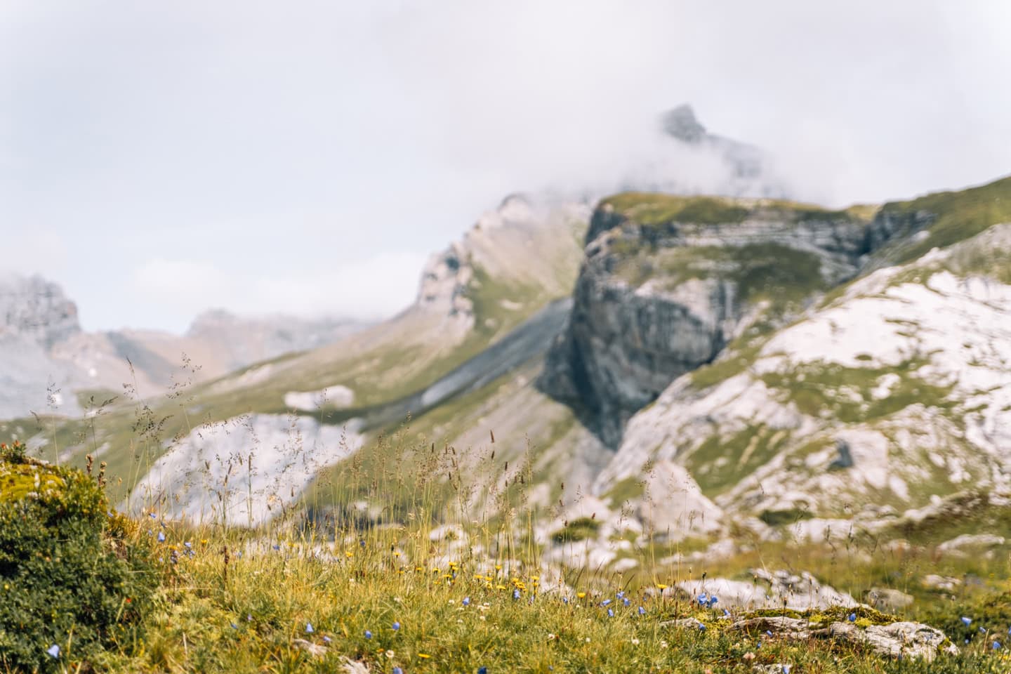 Sommerurlaub in Laax - Wanderungen, Tipps & Ausflugsziele für Familien