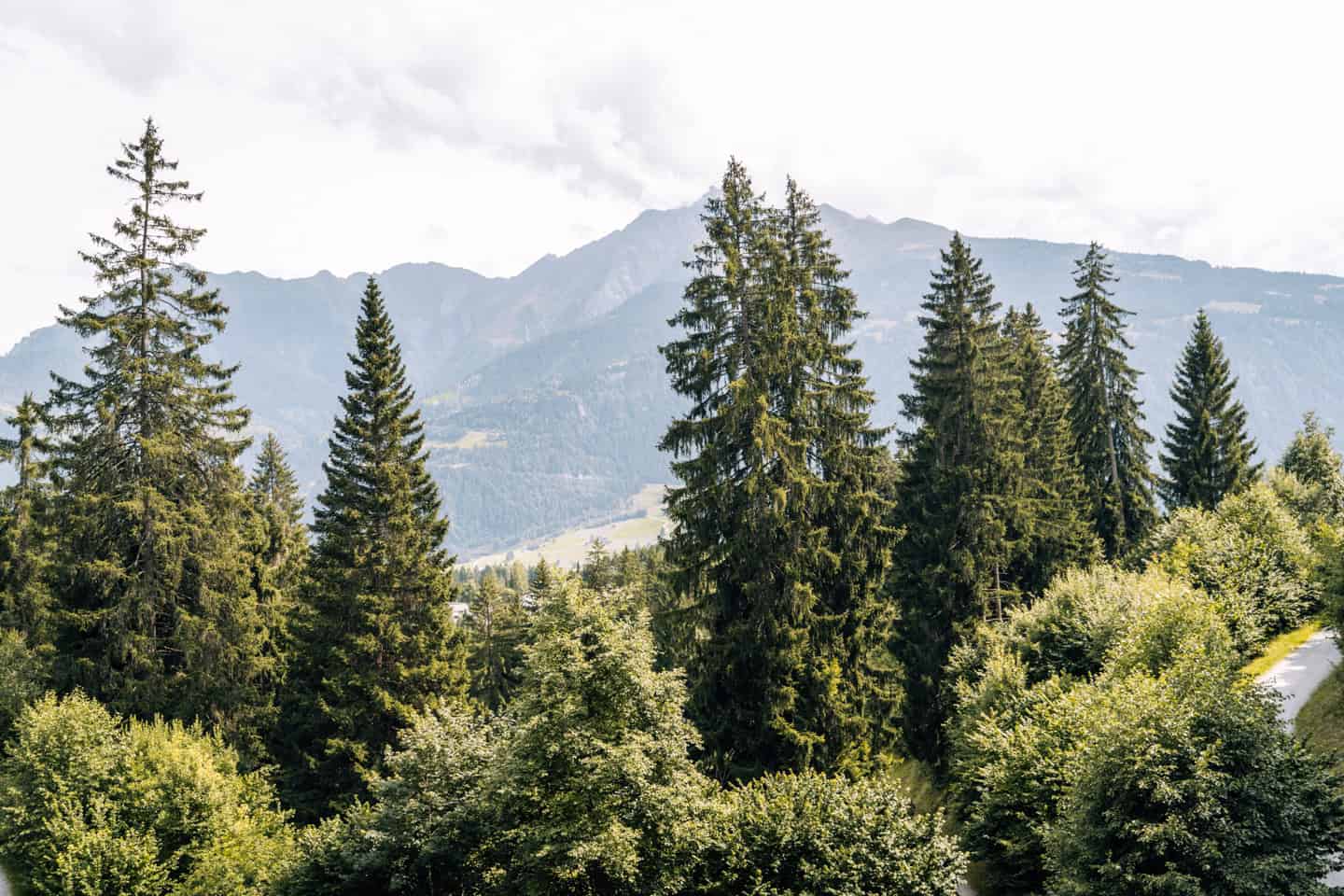 Sommerurlaub in Laax - Wanderungen, Tipps & Ausflugsziele für Familien