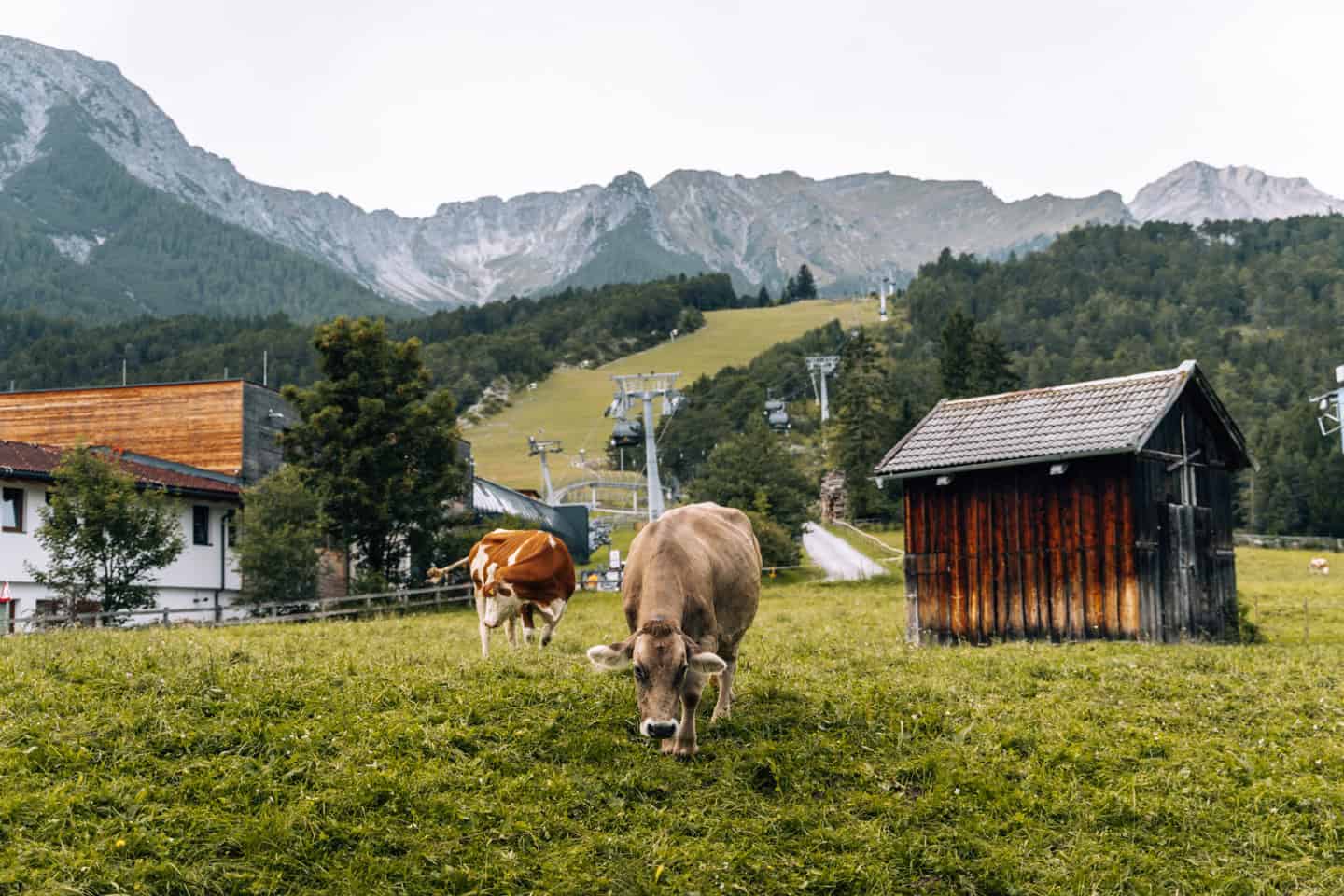 Familienurlaub am Mieminger Plateau - Rosengartenschlucht Imst